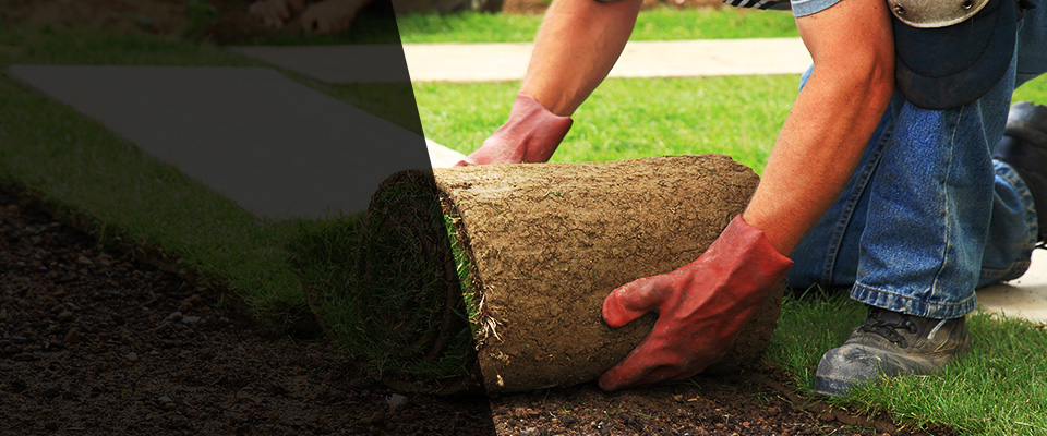 Marne Landscapers